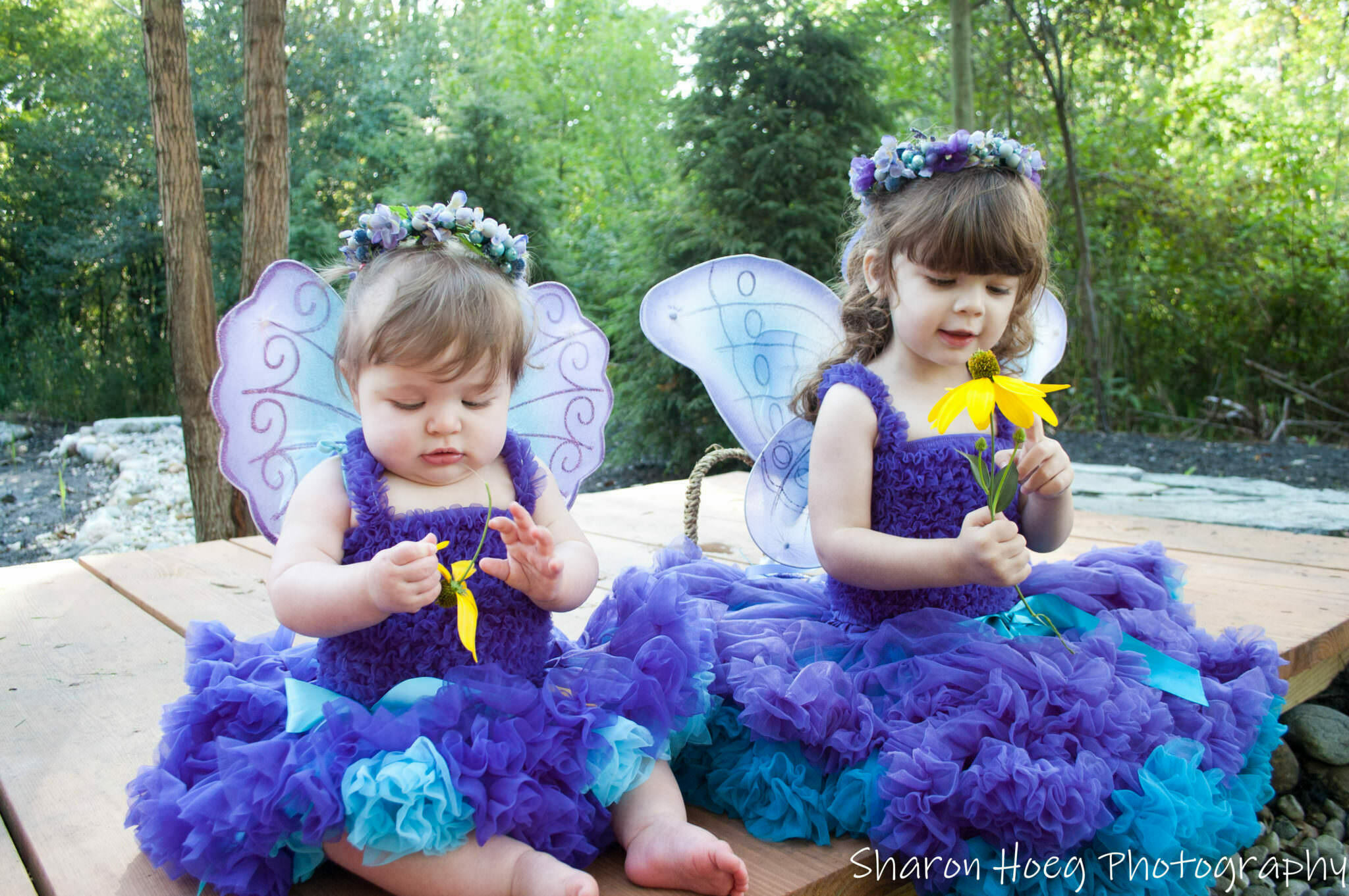 Fairy sisters holding yellow flowers, South Lyon Baby and Toddler Photographer