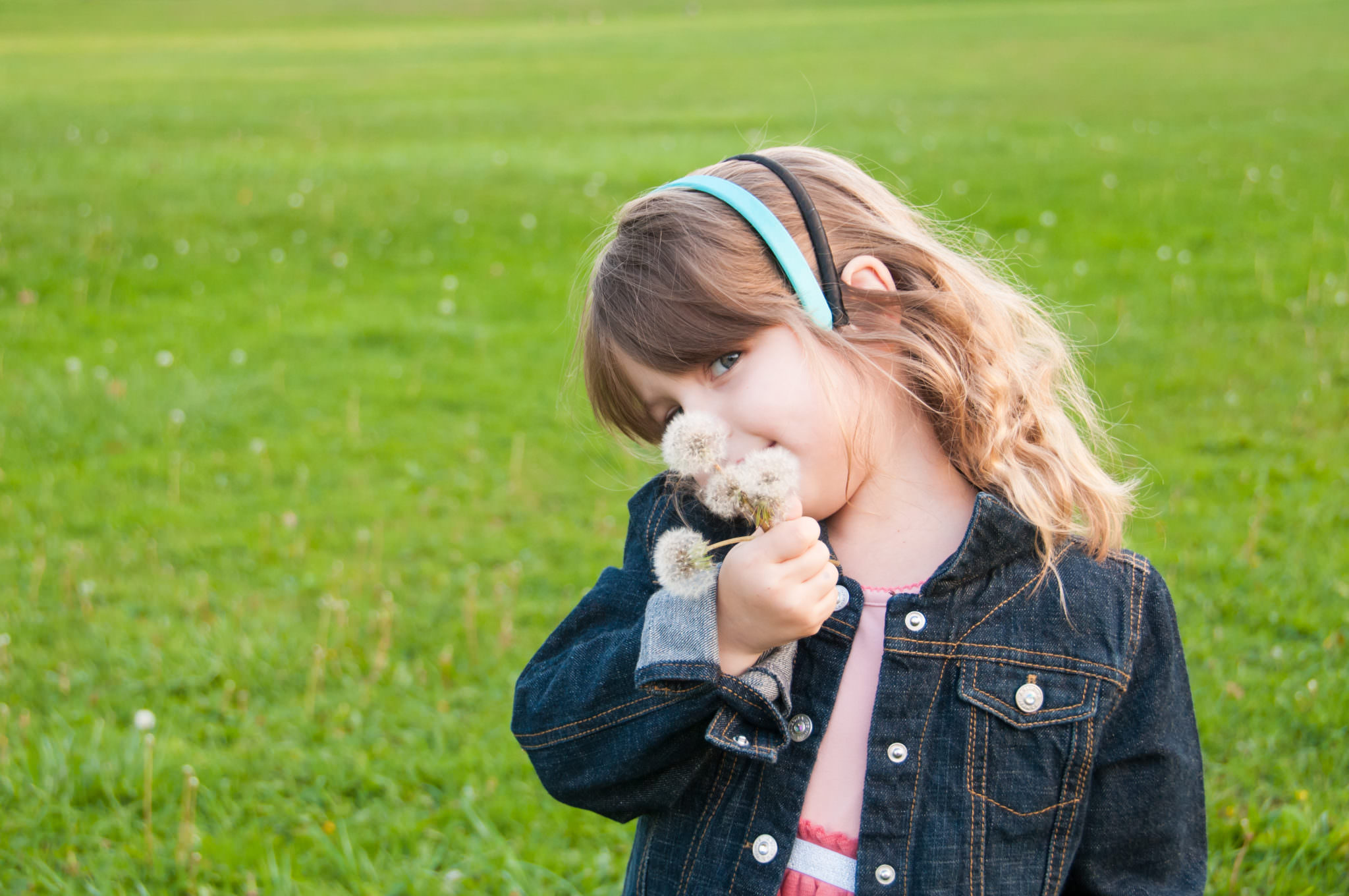 Young girl with dandelions, Northville Child Photographer