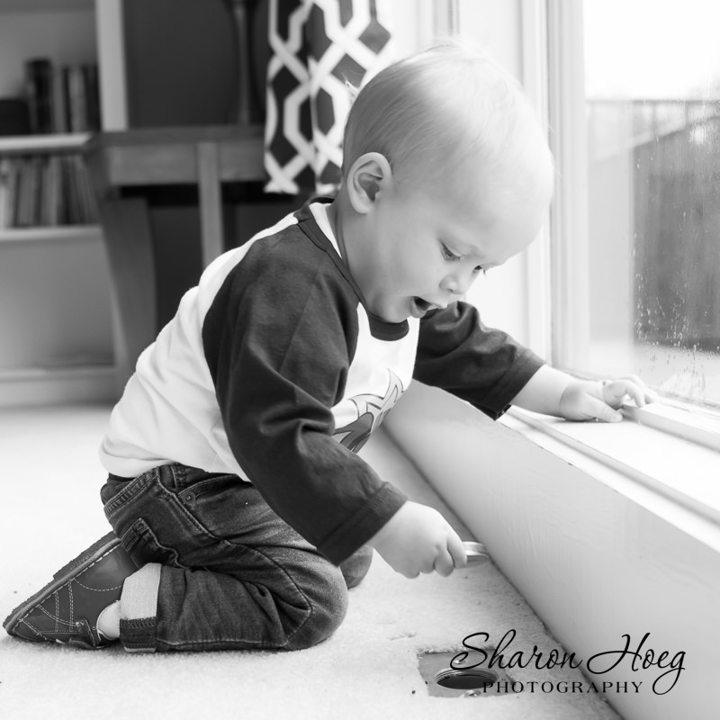 curious one-year-old playing by a window, Metro Detroit Child Photography