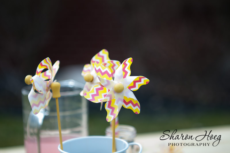 pinwheel up close, northville potographer