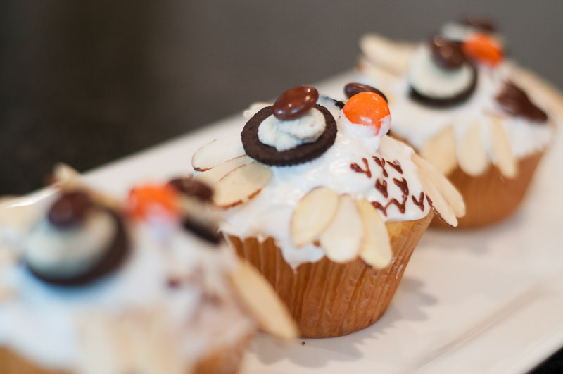 decorated nerdy owl cupcakes, Metro Detroit Photographer