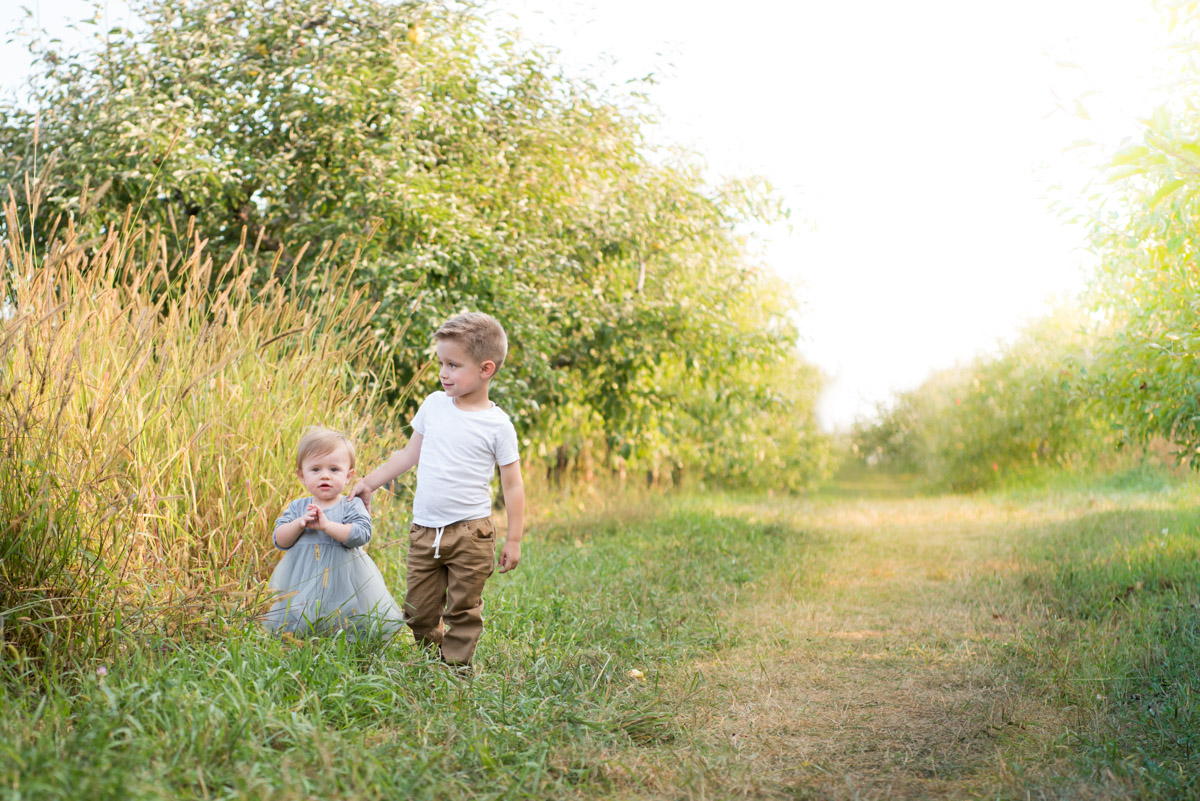 brother and sister standing in a field of golden grass, Northville Toddler Photographer