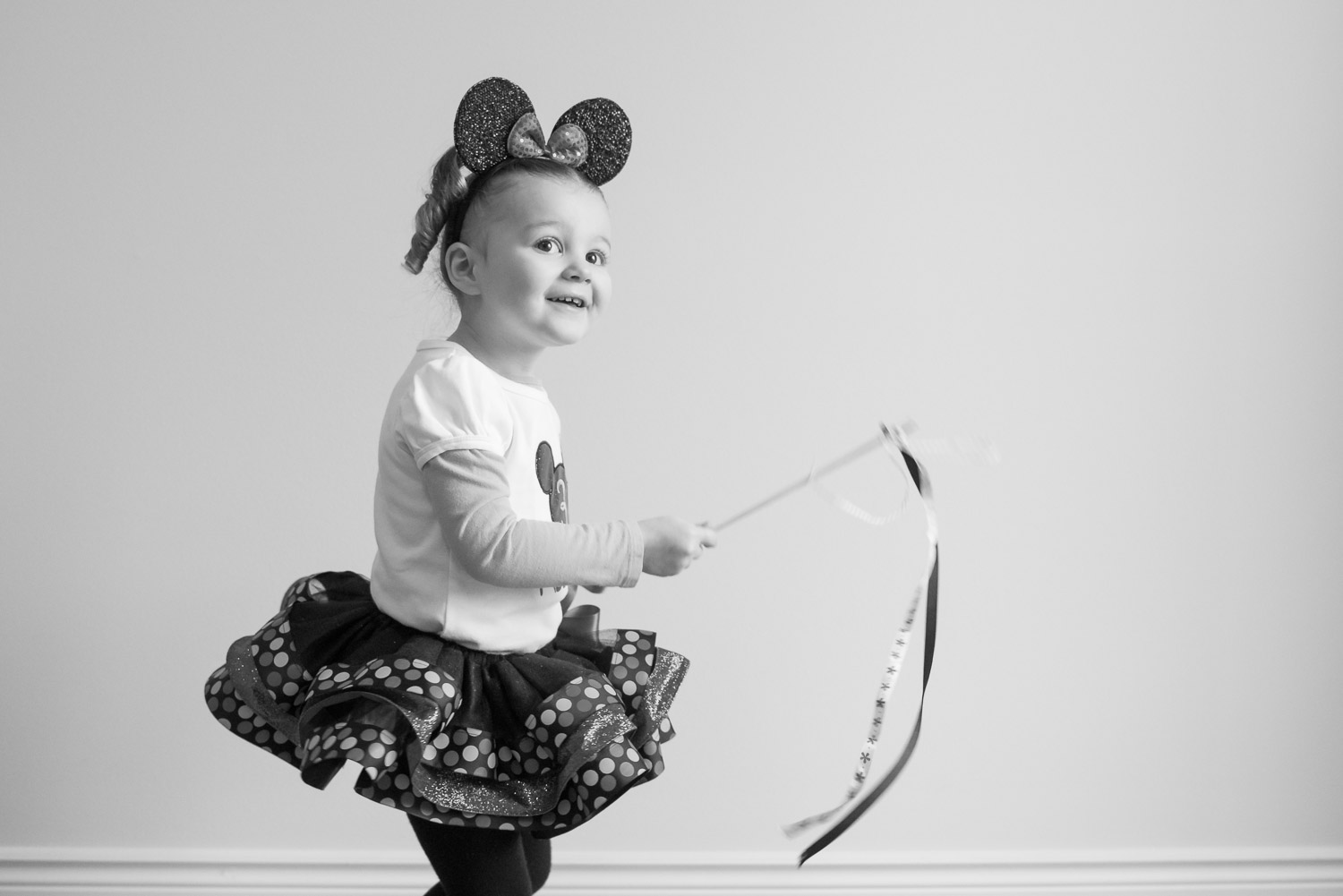 Minnie Mouse Birthday Photo Shoot, Northville Photographer