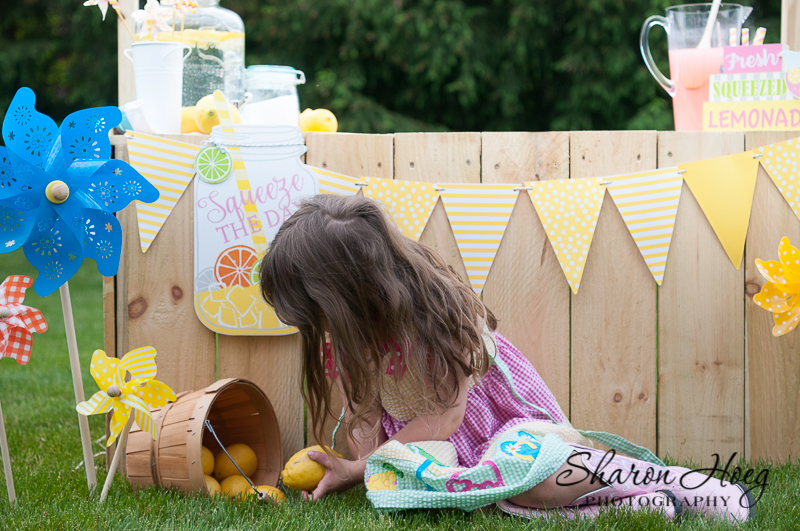 lemonade stand lemon bucket, plymouth photographer