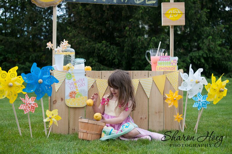 lemonade stand photo shoot, northville photographer