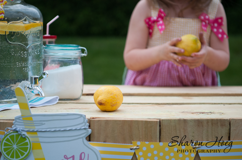 little hands making lemonade, metro detroit child photographer