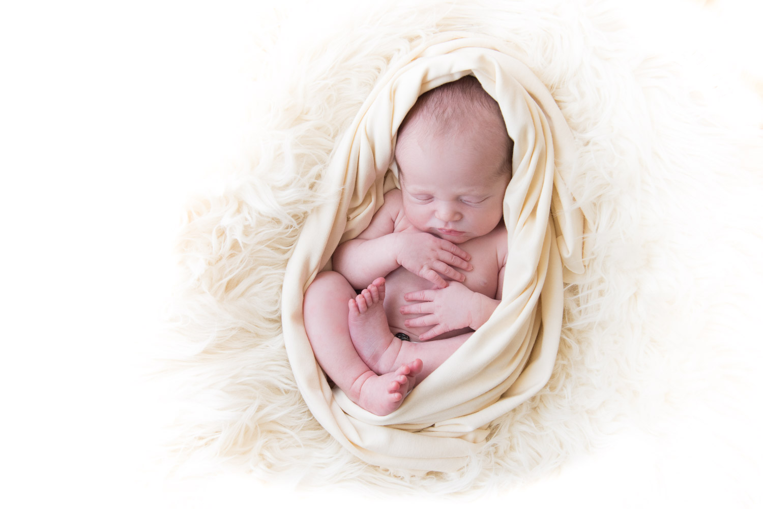 curled up baby boy, south lyon newborn photographer