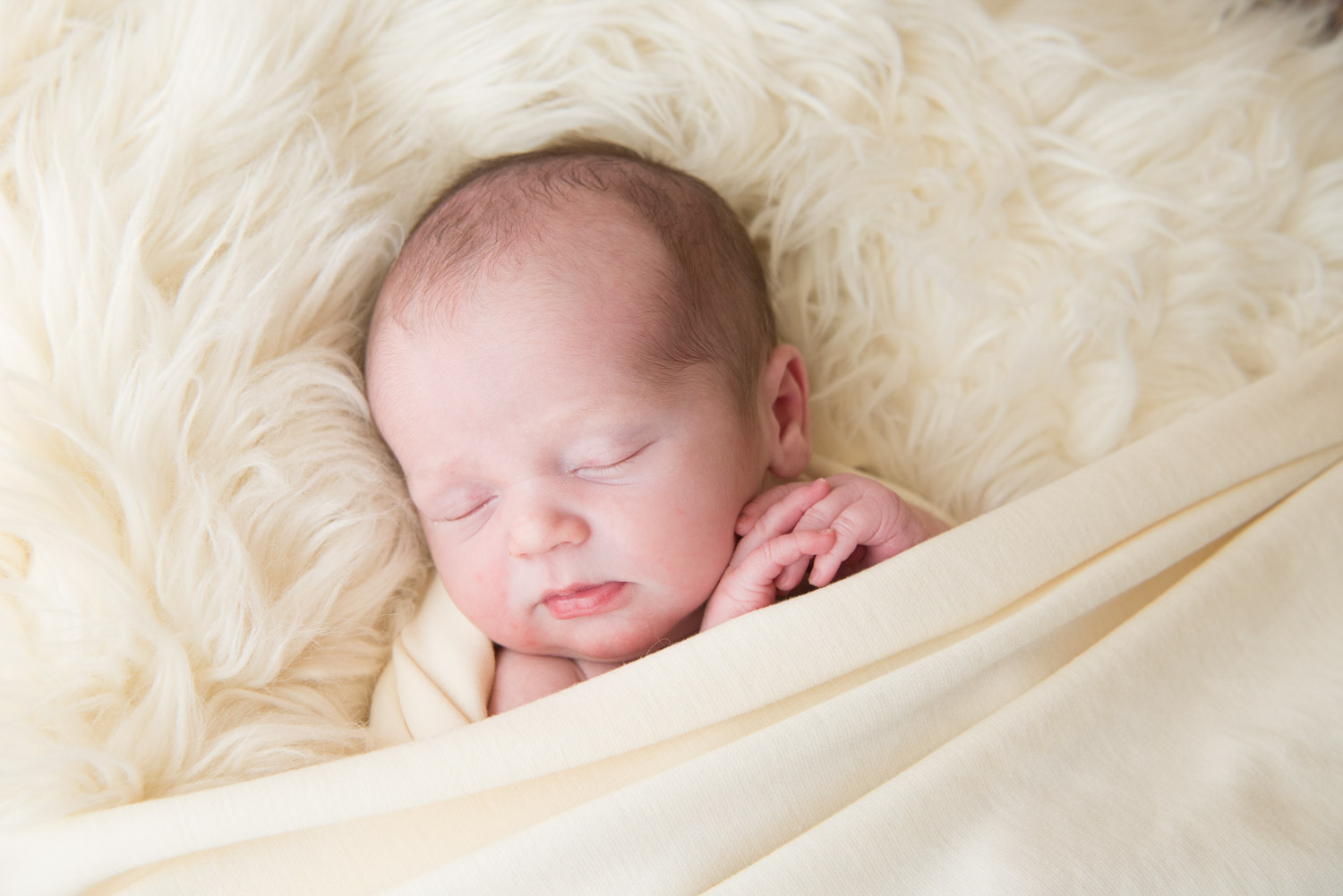sleeping baby holding hands, South Lyon MI Newborn Photographer