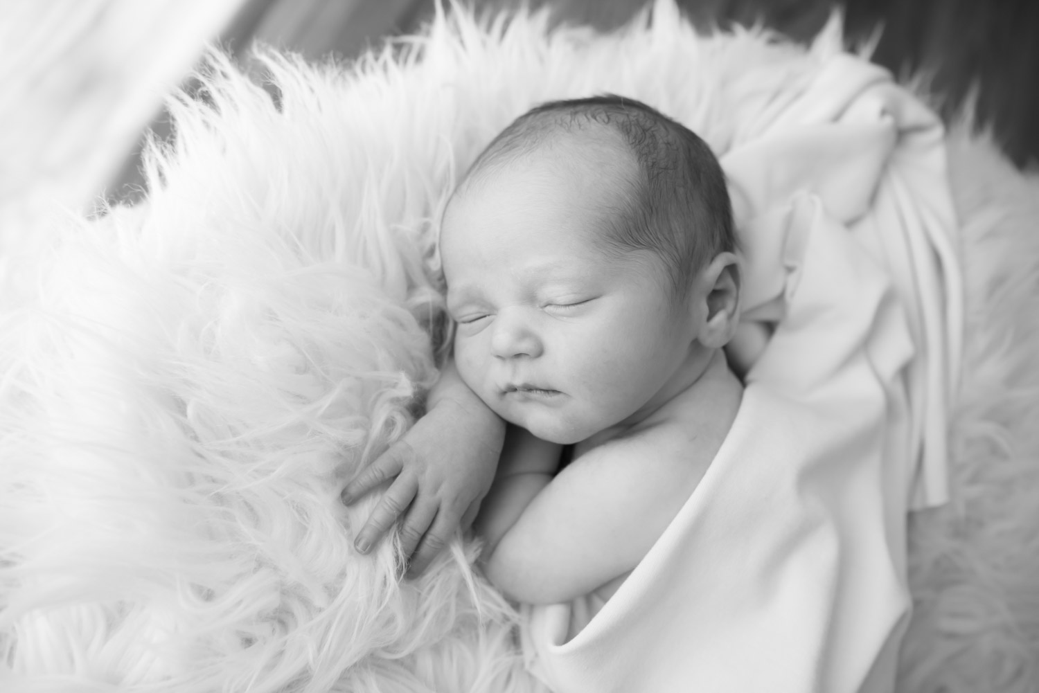 northville newborn photographer, sleeping baby boy black and white