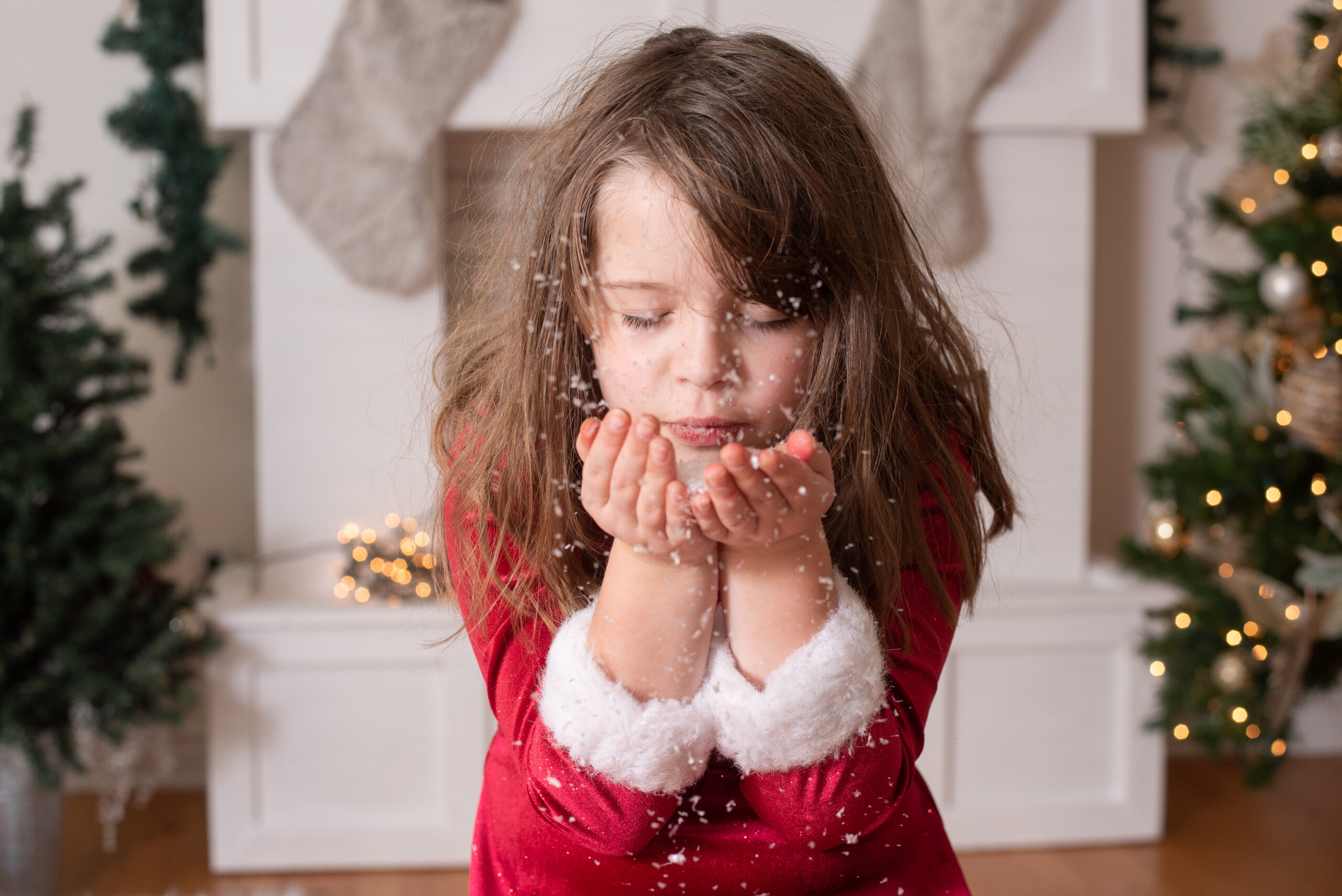 Northville Photographer, Holiday Mini Session