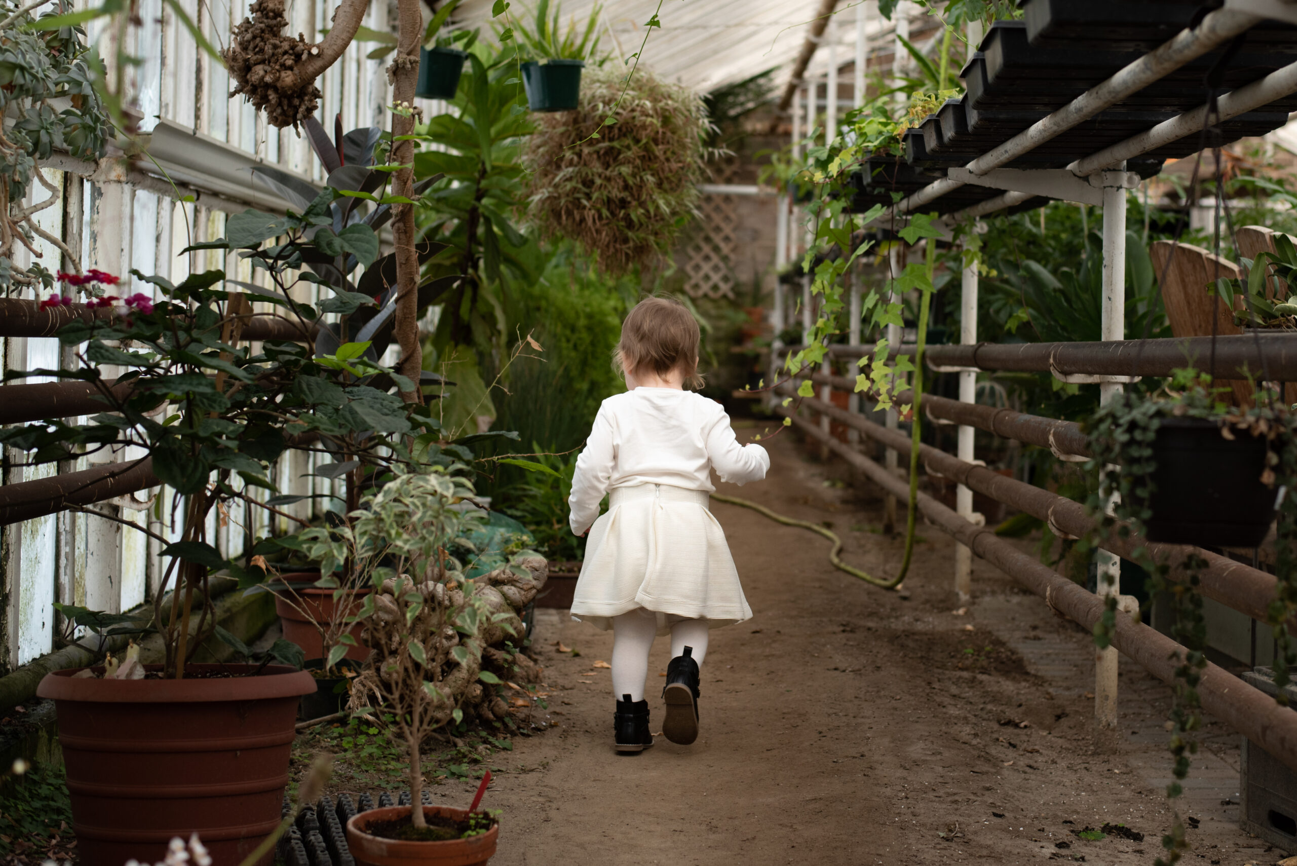 spring mini sessions, livonia photographer
