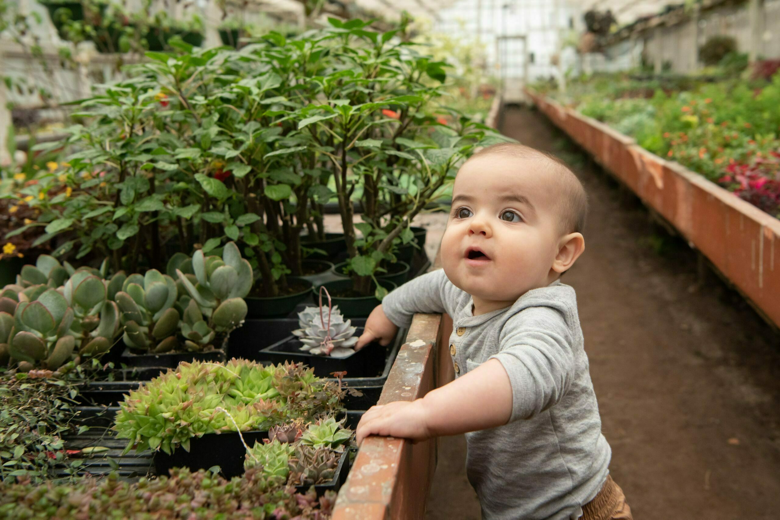 Liovnia Baby Photography